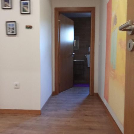 Suites Passadicos Do Paiva E Ponte Suspensa Cinfaes Ngoại thất bức ảnh